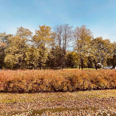 Apartamenty Ktw Silesia City Center - Park Slaski Κατοβίτσε Εξωτερικό φωτογραφία