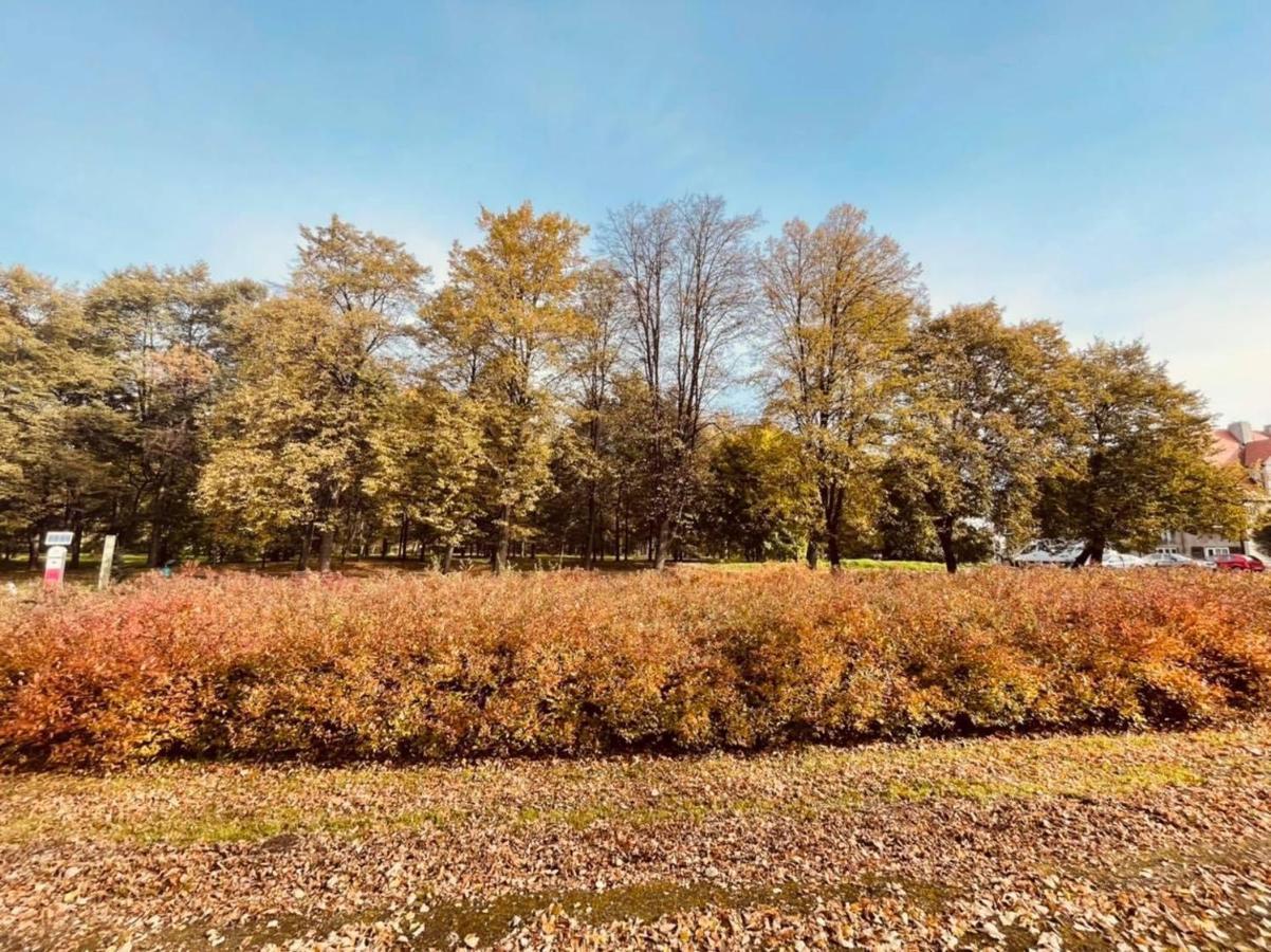 Apartamenty Ktw Silesia City Center - Park Slaski Κατοβίτσε Εξωτερικό φωτογραφία